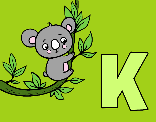 K de Koala