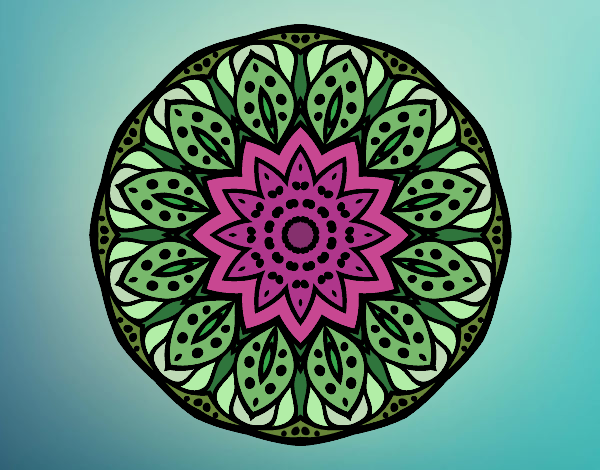 Mandala naturaleza