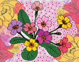 Dibujo Primula pintado por queyla