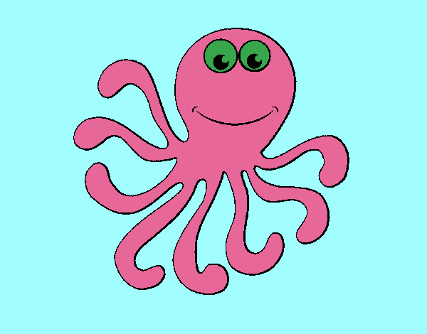 Pulpo 2