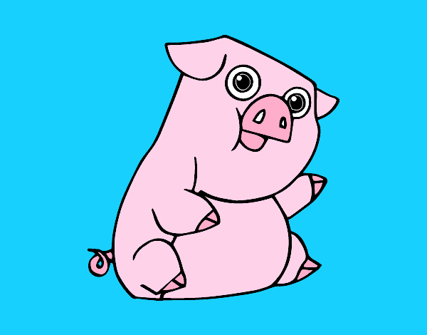 cerdito