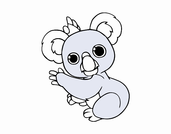 Un Koala