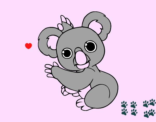 Un Koala