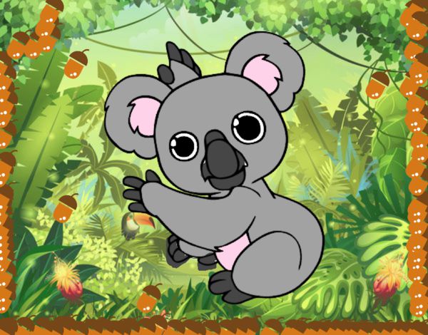 Un Koala