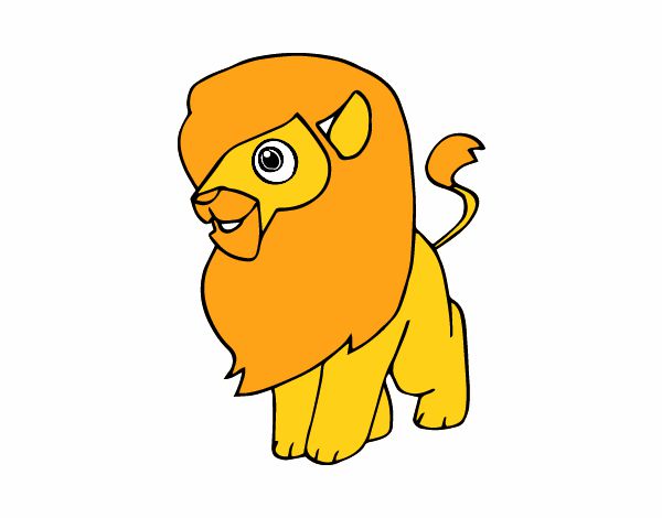 Un león