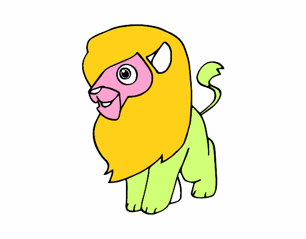 Un león