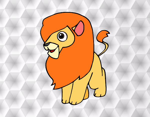 Un león