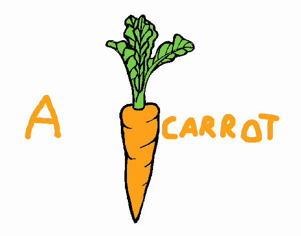 A carrot