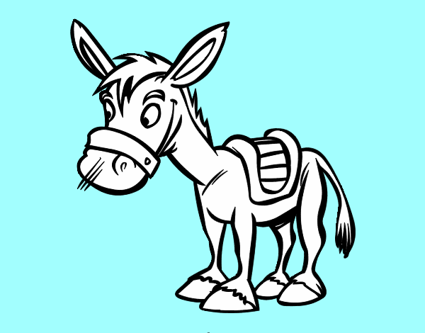 Burro de granja