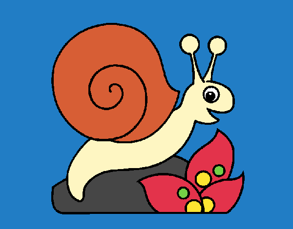 Caracol