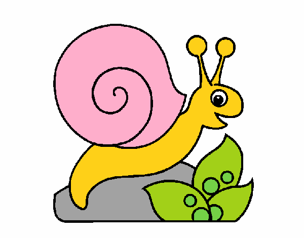 Caracol