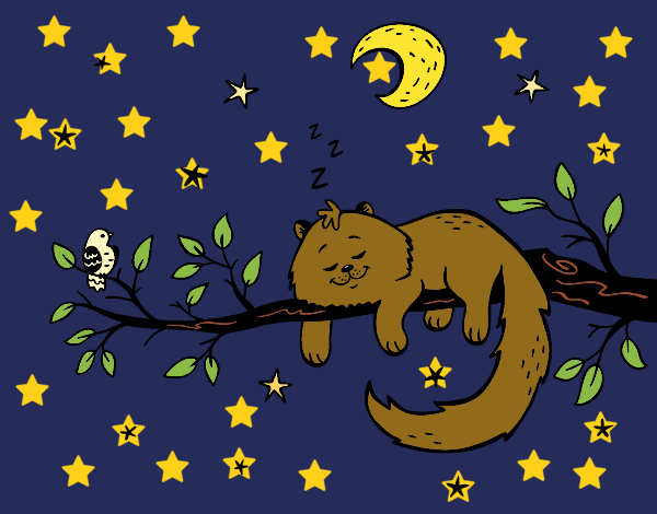 El gato y la luna