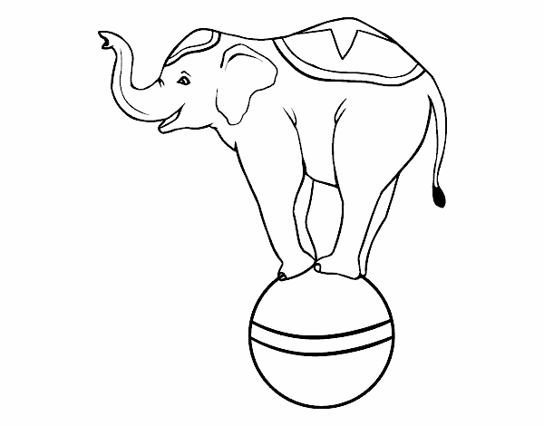 Elefante equilibrista