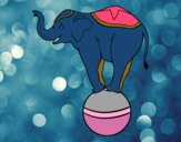 Elefante equilibrista