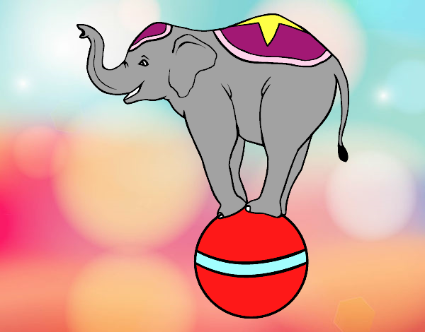 Elefante equilibrista