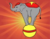 Dibujo Elefante equilibrista pintado por chitojoa