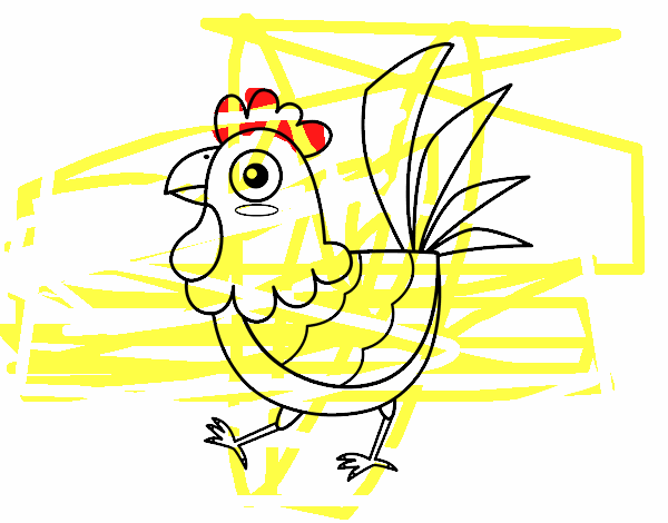 Gallina de granja