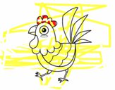 Gallina de granja