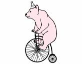 Oso en bicicleta