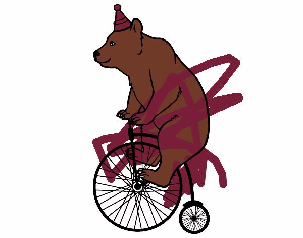 Oso en bicicleta