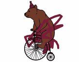 Oso en bicicleta