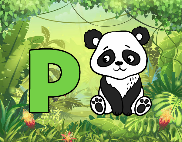 P de Panda