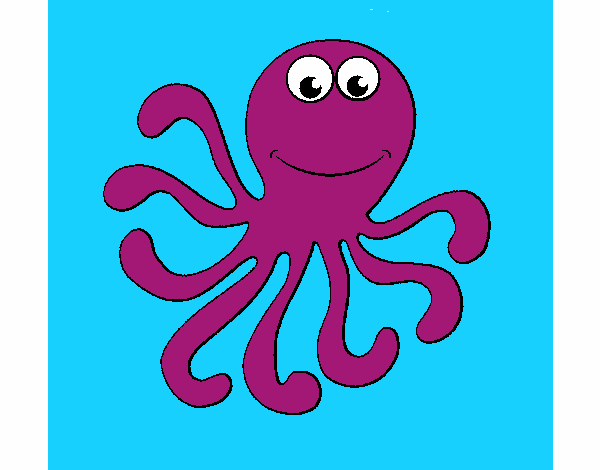 Pulpo 2