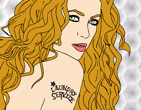 Dibujo Shakira - Servicio de lavandería pintado por dianita12
