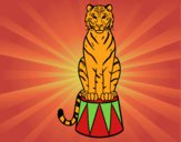 Dibujo Tigre de circo pintado por chitojoa