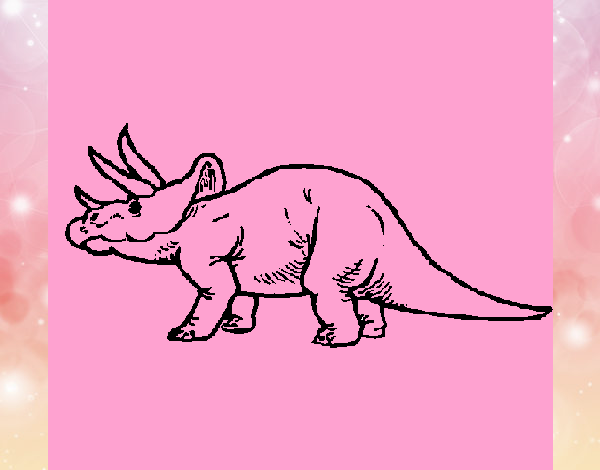 Triceratops