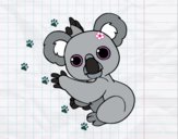 Un Koala