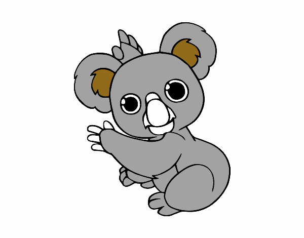 Un Koala