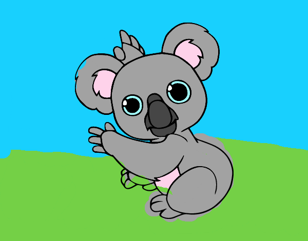 Un Koala