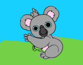 Un Koala