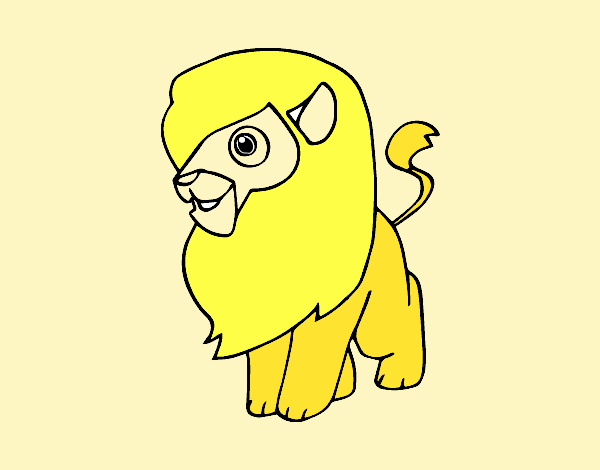 Un león