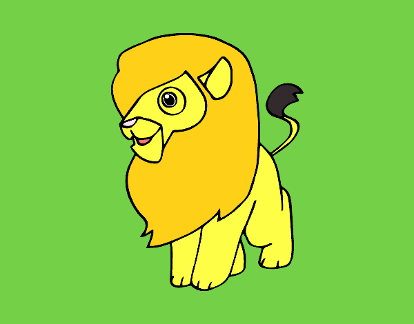 Un león