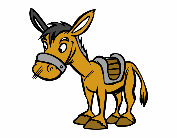 Burro de granja