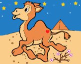 Dibujo Camello 1 pintado por LunaLunita