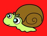 Caracol bebé