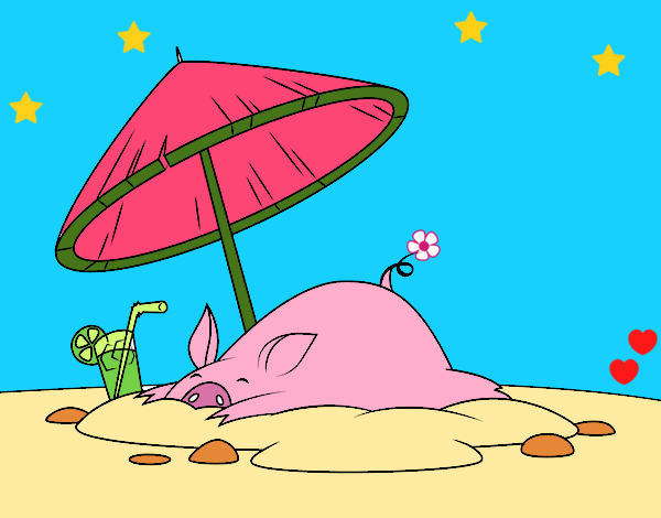 Cerdito en la playa