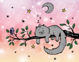 Dibujo El gato y la luna pintado por sara0615