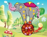 Elefante equilibrista