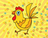 Gallina de granja