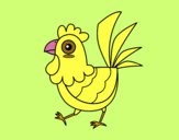 Gallina de granja