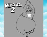 Madagascar 2 Gloria