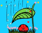 Dibujo Mariquita protegida de la lluvia pintado por LunaLunita