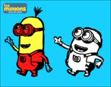 Minions - Tom y Dave