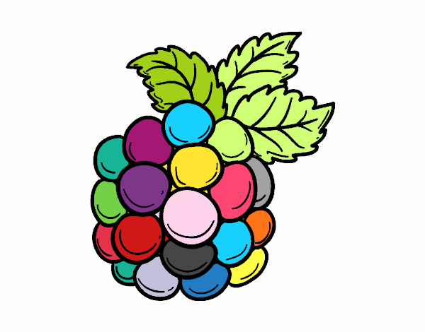 uvas de colores