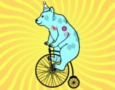 Oso en bicicleta