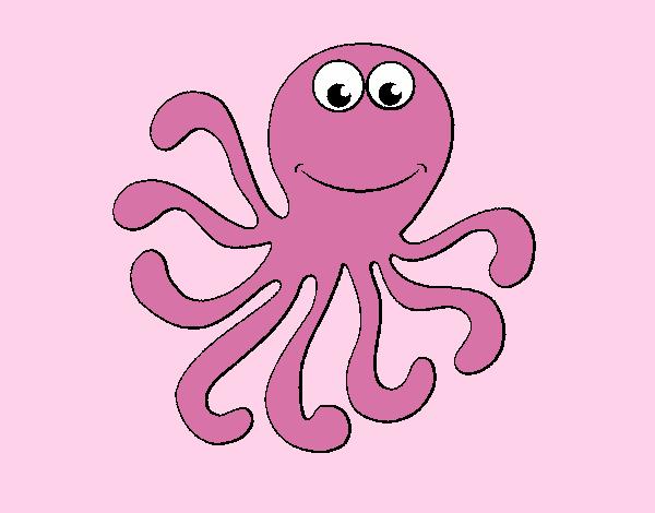 Pulpo 2